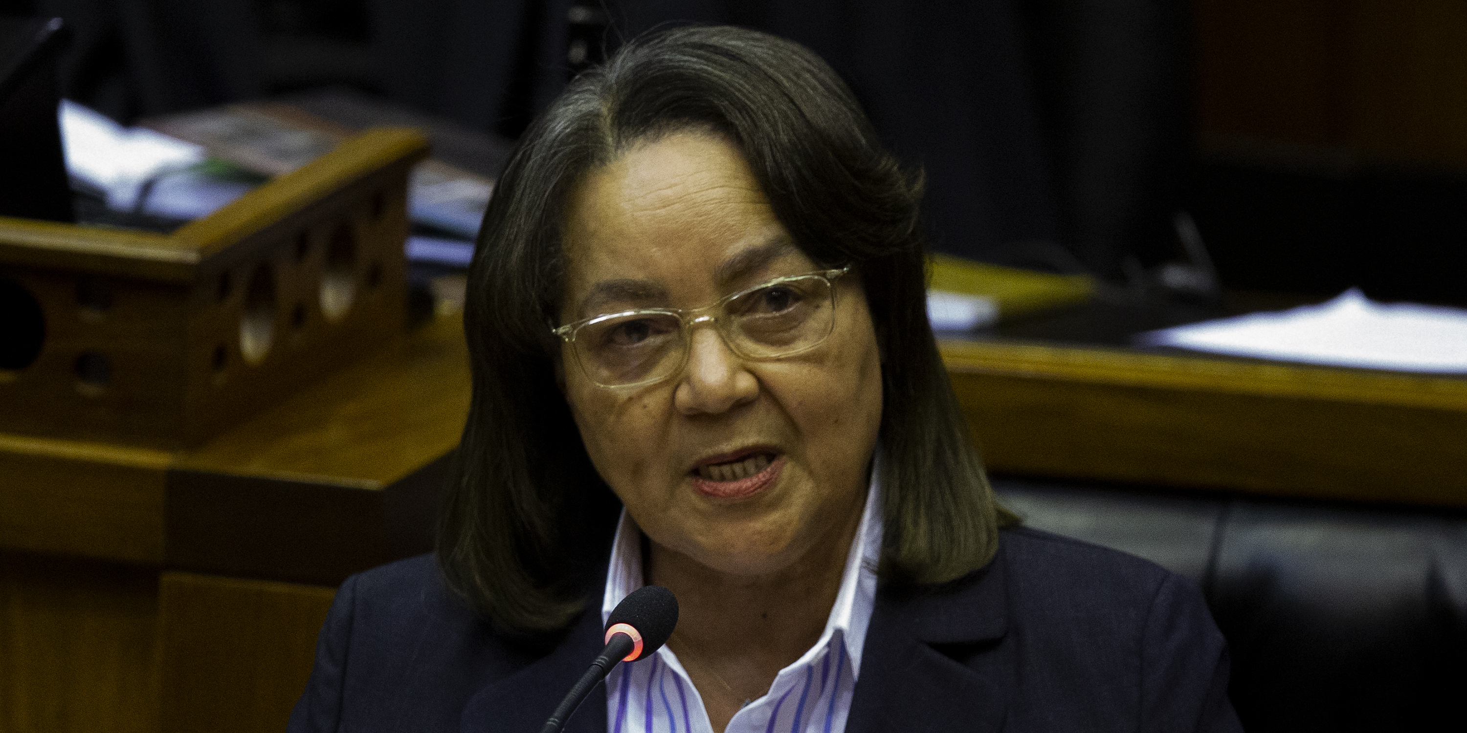 Implementation, implementation, implementation, says De Lille in her maiden ministerial budget vote speech