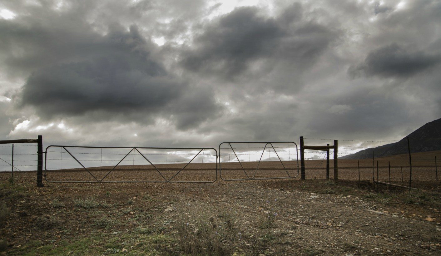 thandeka-Mbabama-DAland-subbed-1412x820