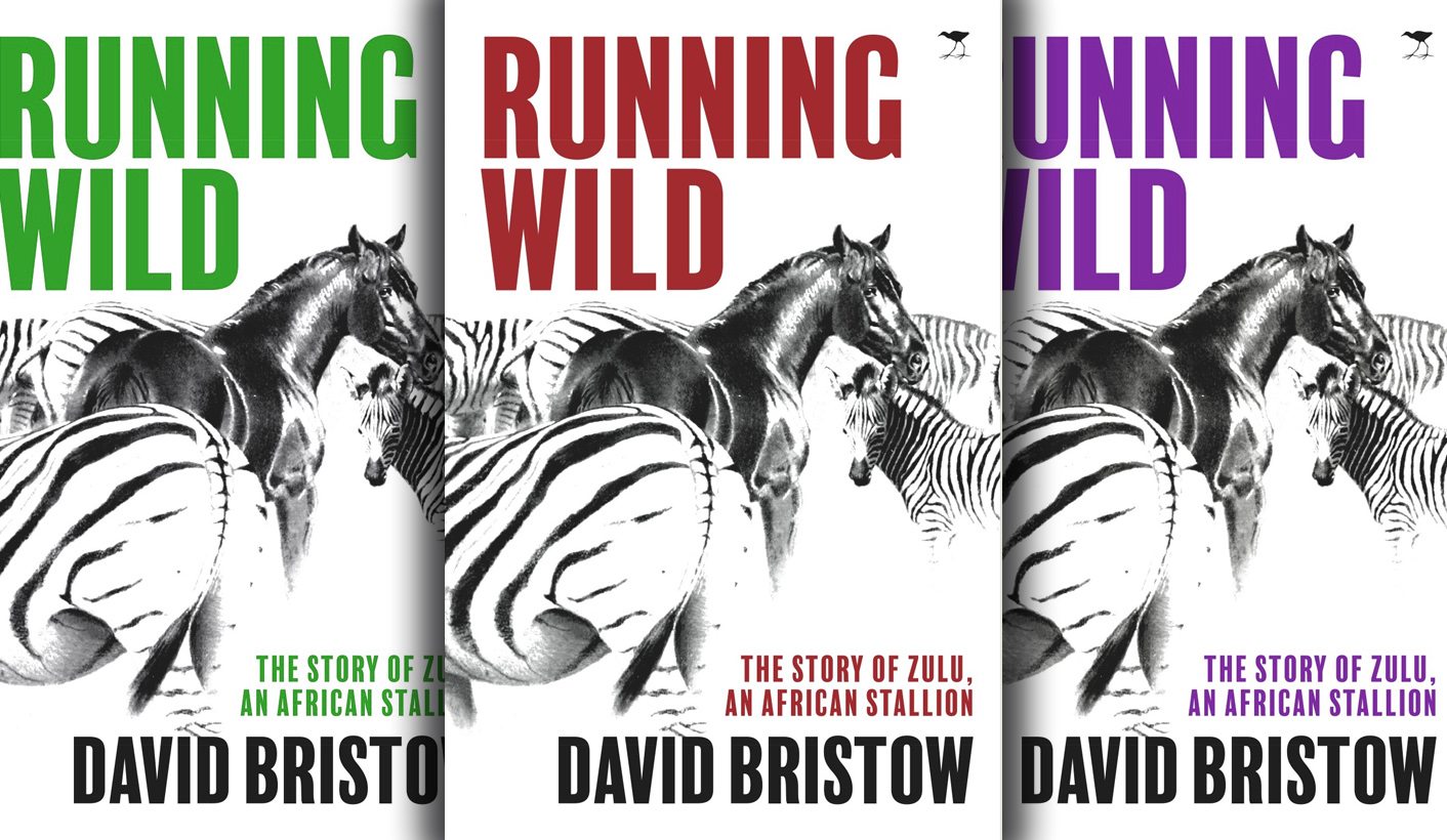 Wild Horse Chase: How to get your novel published after 174 rejection slips