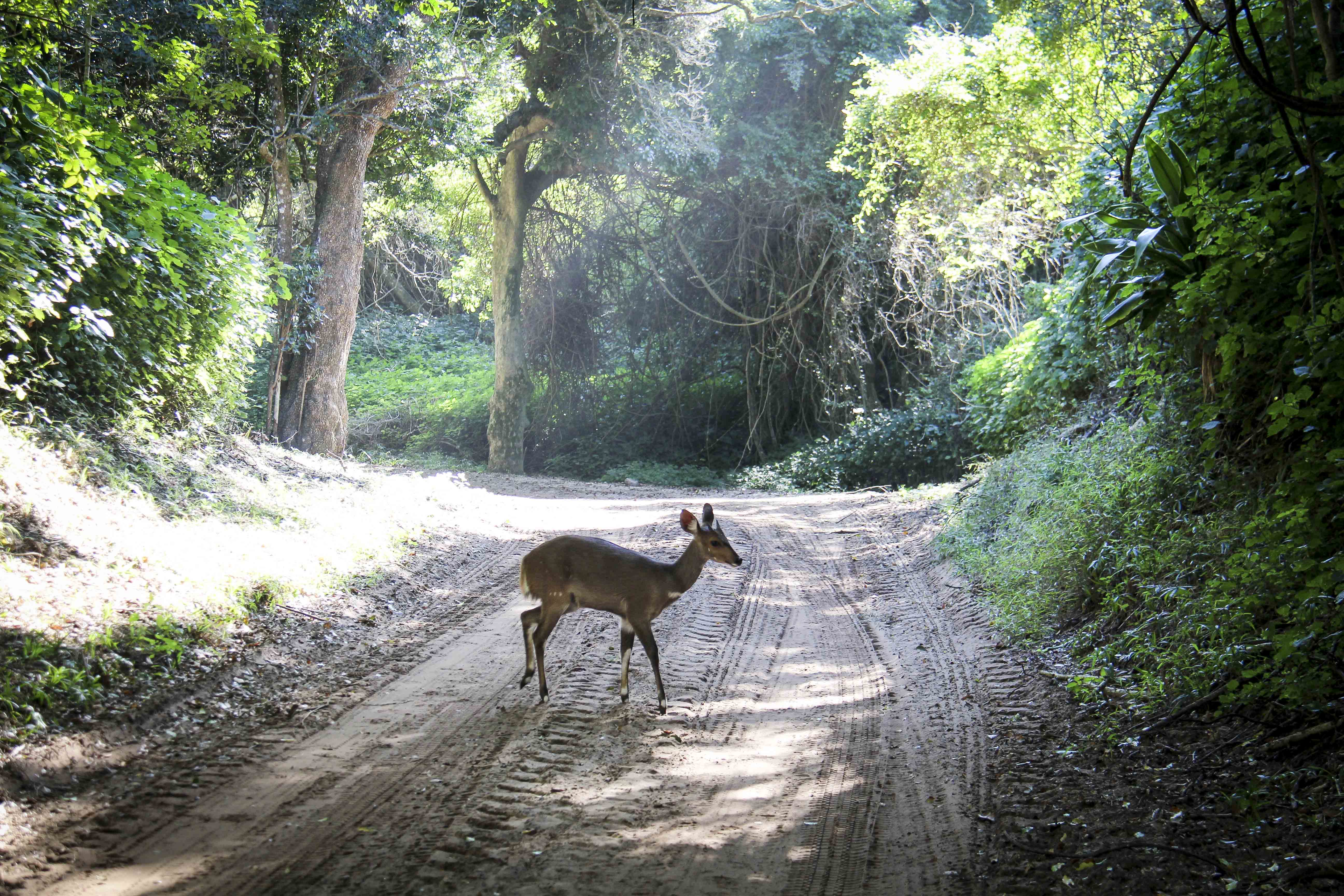 Rio Tinto: ‘We have nothing to do with World Heritage mining row’