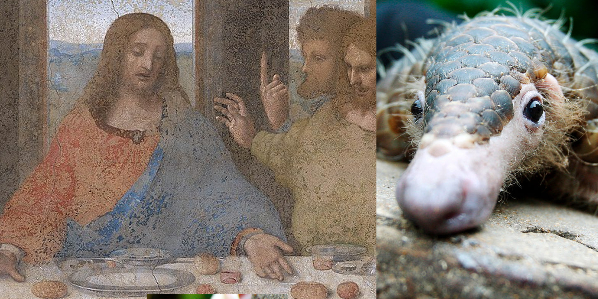 The trillion-dollar meal