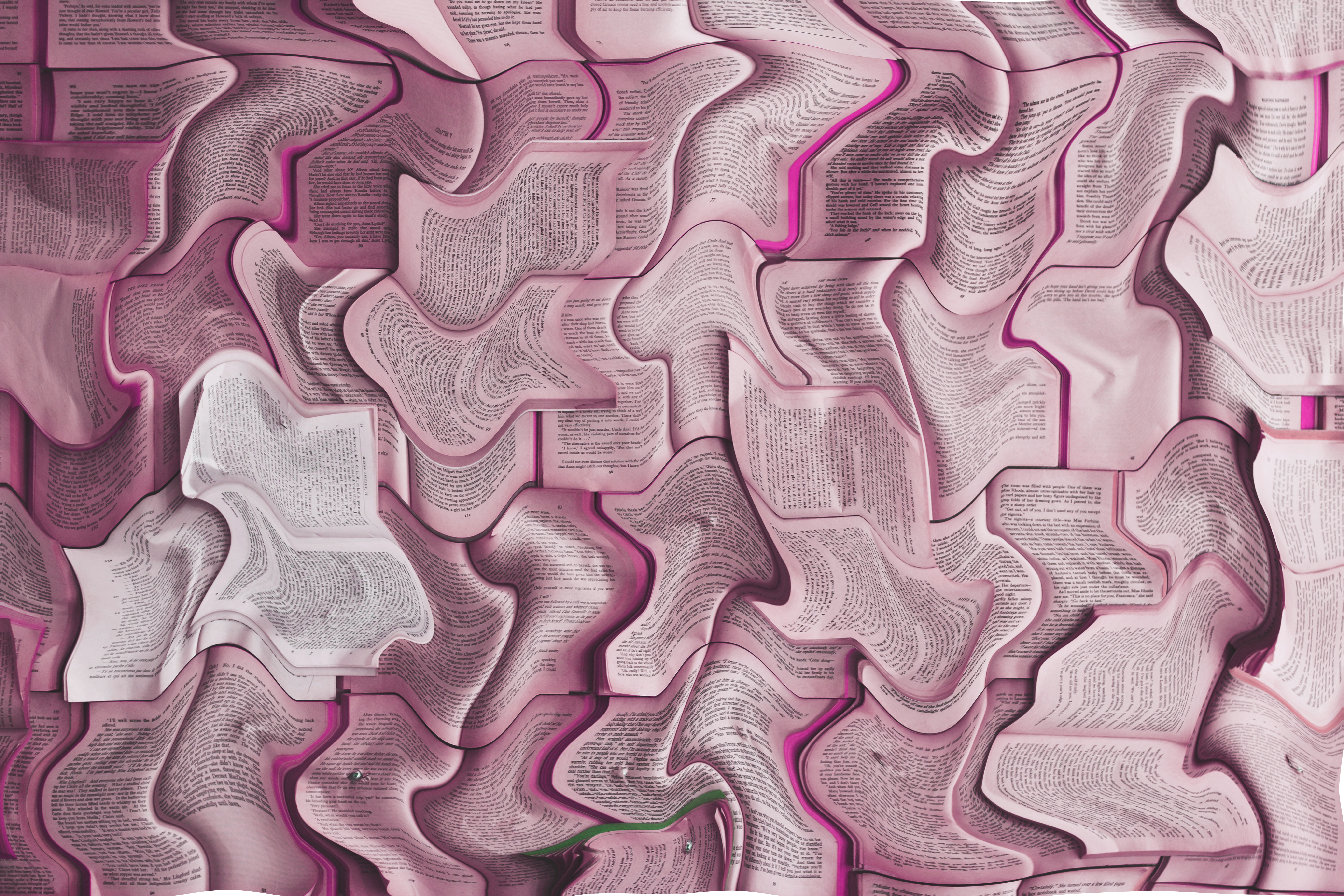 Local publishers alarmed at government’s publishing ambitions