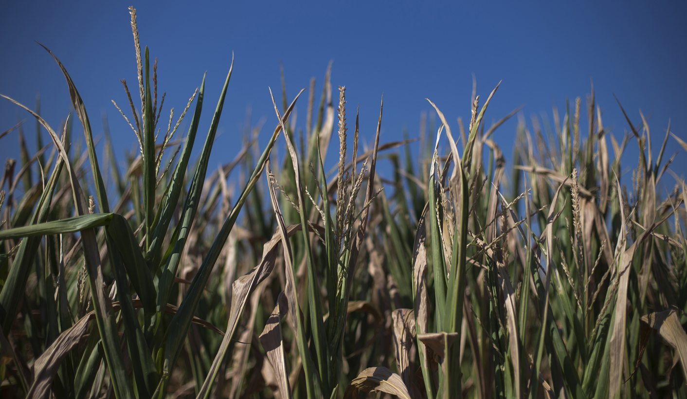 USDA Forecasts Record U.S. Corn And Soy Crops, Lower Prices