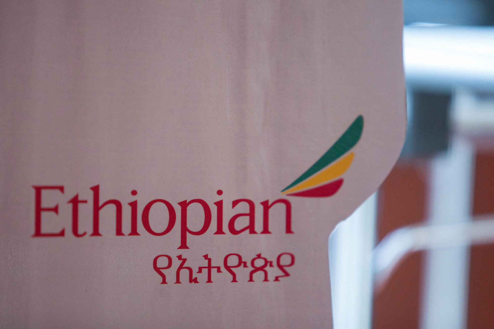 Crashed Ethiopian Plane Carried at Least 19 UN Officials