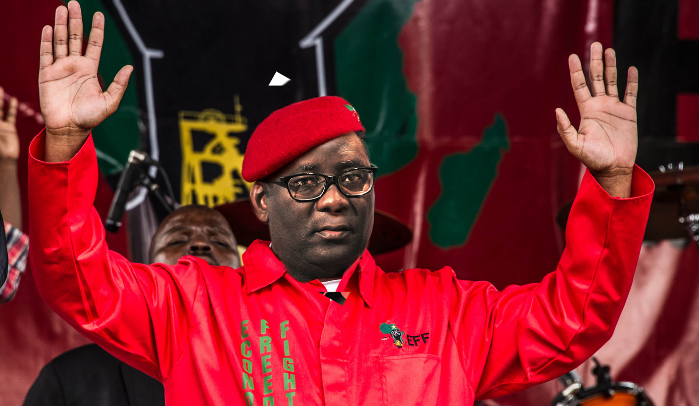Vavi joins EFF as interim head