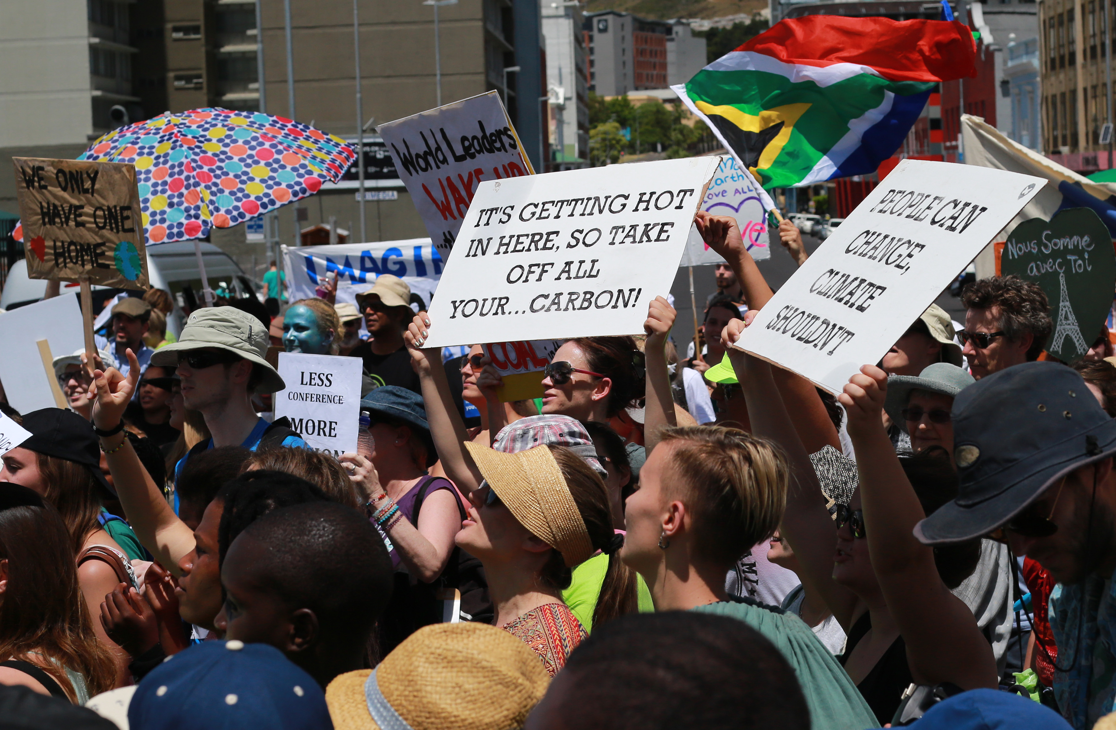 The IRP: Members of the parliamentary energy committee ignoring the impact of climate change