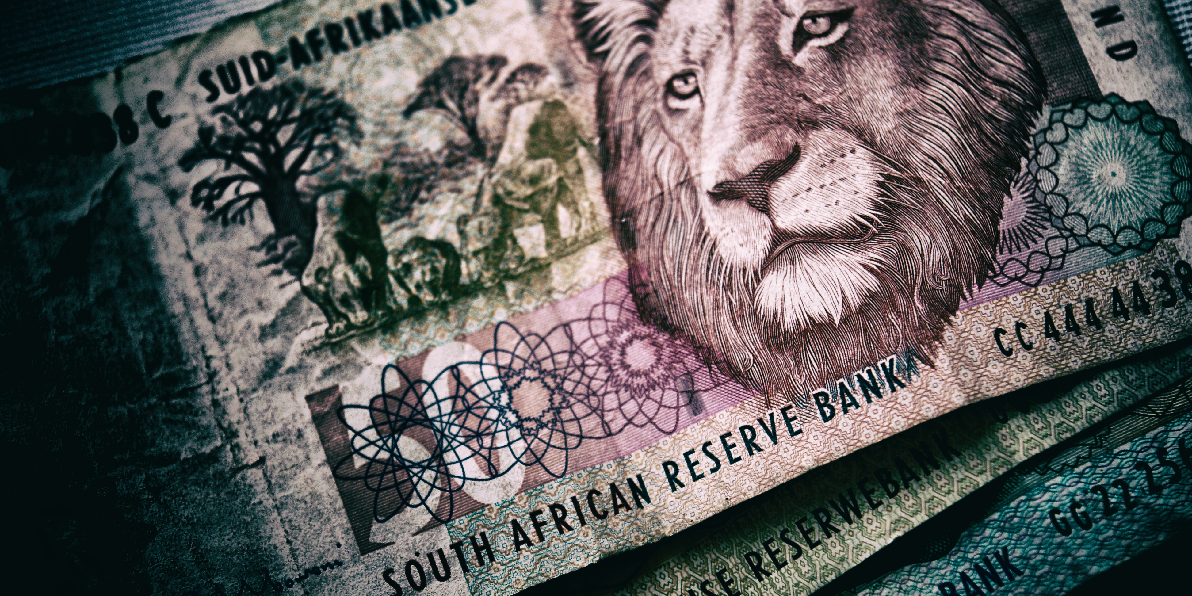 Staff at Gauteng NPO go without pay for ten months and counting