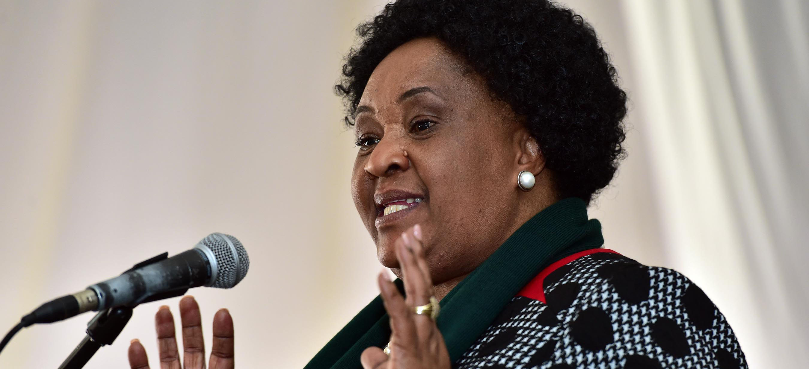 Free State Premier focuses on radical economic transformation aimed at youth and women