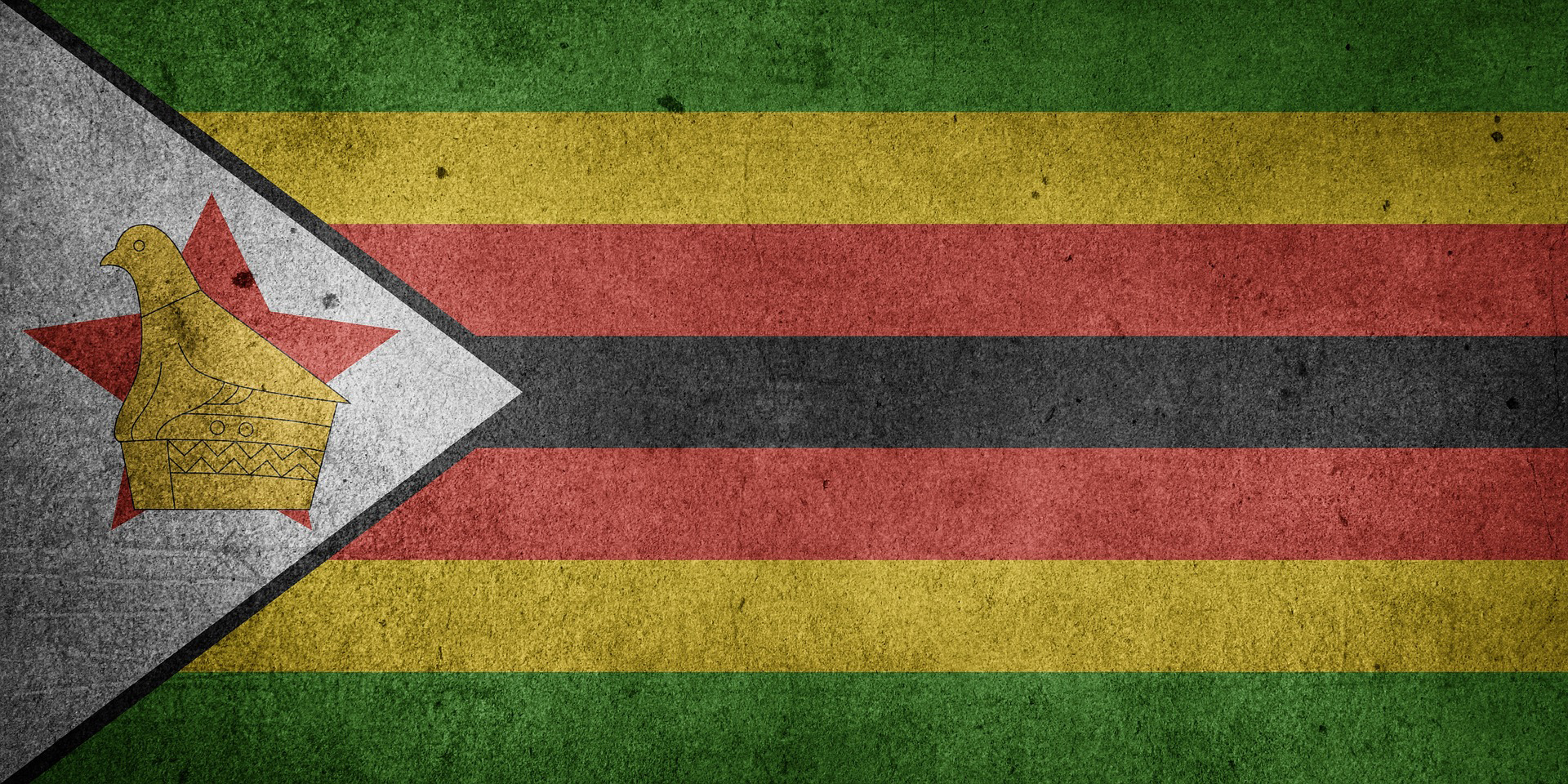 Witness Zimbabwe: Human Rights in Time of Torture and Abduction