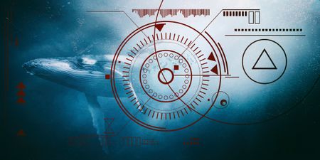 Fishers and civic organisations take legal action against West Coast seismic surveying