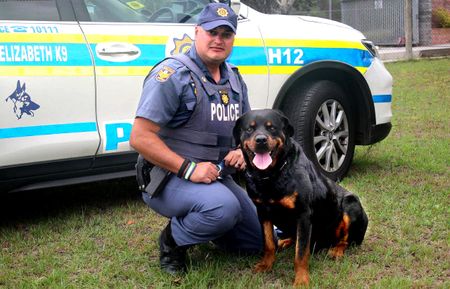 Gqeberha’s legendary police dog Mufasa dies at nine years old