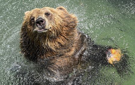 The fluffy residents of Rome zoo cool off as Italian cities are put on red heat alert, and more from around the world