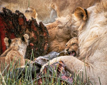 I have a picture for you! 12 July-18 July 2025