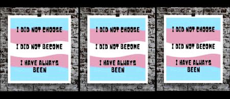 Gender-affirming surgery little more than a distant dream for the many hamstrung by high costs and long waiting lists