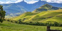 Grass is far more than the lawn you lounge on