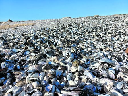 Finding the stark and derelict on a long walk along the West Coast