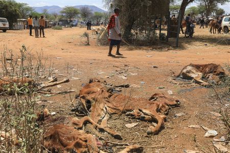 Development funders need to look to projects that explicitly address climate mobility in Africa.