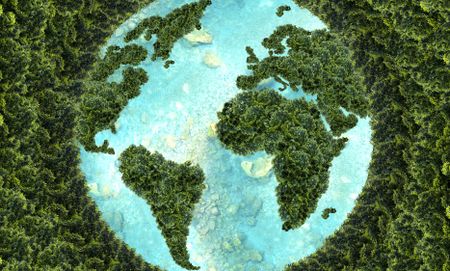 Private sector should up its hand in eradicating biodiversity loss, says UN environment body