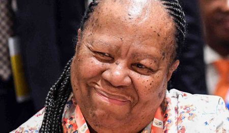 ANC’s Pandor pledges party support to push pro-Palestine agenda at  Lenasia event