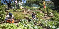 Abieda Charles  and Werner Goerke  in the garden in the Bo-Kaap .Picture Brenton Geach