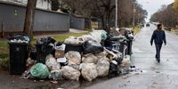 OCN-Pikitup-trash