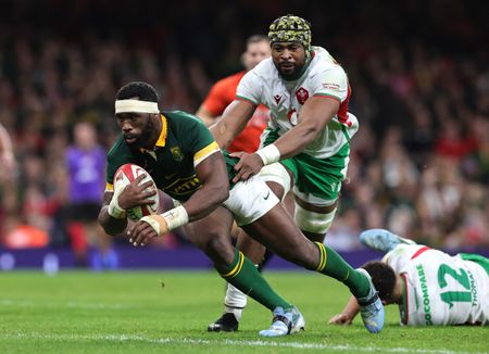 Sports Team of the Year: The Boks dominate. So what’s new?