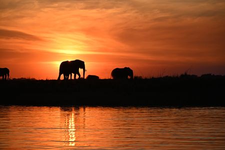 I have a picture for you! 04 October-10 October 2025