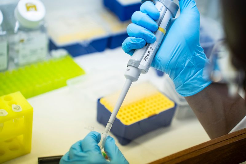 World’s largest biomedical research funder lifts ban on South Africa