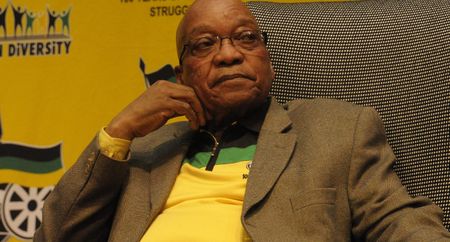 Zuma's African gaffe: a day in reactions