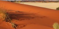 Namib Desert at it’s best. Photographer: Uwe Harms