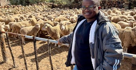 Standards in SA’s agricultural markets need to be properly enforced