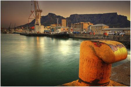 A Soupçon of Serendipity: Generosity of spirit beats Ducking the Fox