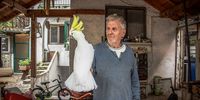 Halid Redža, called Akan (67), a bird trader from Zemun, Belgrade, orders birds from Africa by catalogue. (Photo: Ingrid Gercama)