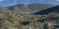 The Swartberg near De Rust in the Klein Karoo.