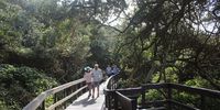 Tourists and visitors enjoy the calm and scenic splendour of the Mhlanga Lagoon nature reserve.  From a climate change adaptation perspective, natural areas within the D’MOSS network also play an important role in buffering the city from the impacts of sea level rise or severe flooding. (Photo: Tony Carnie)