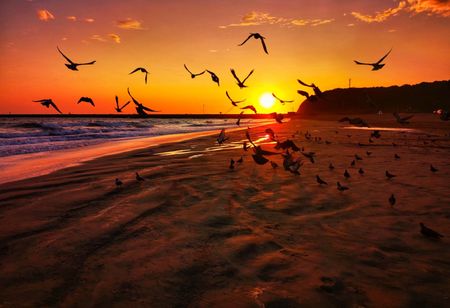 I have a picture for you! 25 May-30 May 2025