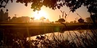 Serenity found in CPT. Photographer: Michael Attfield</p>
<p>P4U_readersubmission_20250530