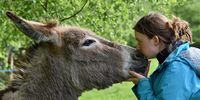 Girl and donkey. Image: JACLOU-DL / Pixabay