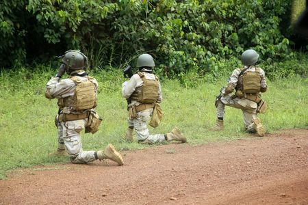 At least 17 people killed in southern Chad attack