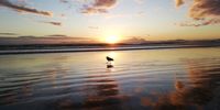 Sunday evening stroll at Strand Beach. (That's Table Mountain in the distance). Image: Karmine Visagie
