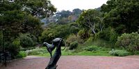Here’s how to take Kirstenbosch to greatness