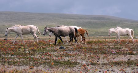 People are the only real threat in the Ecuadorian natural reserves