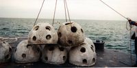 402626 01: Cremated remains that were added to the concrete of an artificial reef unit are lifted to be placed underwater in this undated photo from Eternal Reefs, Inc. The Atlanta-based company allows the deceased to spend the afterlife as part of an artificial reef, which serves as a home to fish and other marine life for at least 500 years. The Memorial reefs are deployed to permitted locations at sea where they are most ecologically needed. More than 1,500 different reef sites have been created worldwide. The sites are approved in areas designated appropriate by federal, state and local governments and are dedicated as permanent memorials while also bolstering natural coast reef formations. (Photo Courtesy of Eternal Reefs/Getty Images)