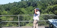 Top of the world. Birding guide Nomusa Ntuli scans the dense tree canopy from the aerial boardwalk in Dlinza forest near Eshowe. (Photo: Tony Carnie)