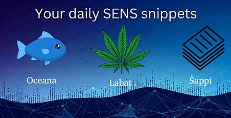 From weed to wires, new fish and leaner paper empires