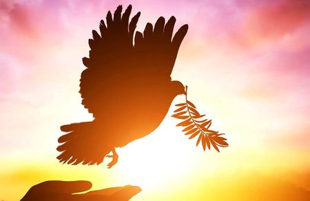 This week — March for system change, International Day of Peace and talk on women’s land rights