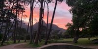 Sunset in Keurboom Park. Image: Jenni Bessesen<br>