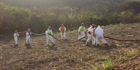 ‘Lift the cloud of secrecy over Durban toxic chemicals explosion,’ MPs and community leaders demand