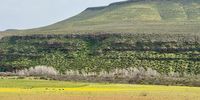 Spring in the valley. Photographer: David Gilson