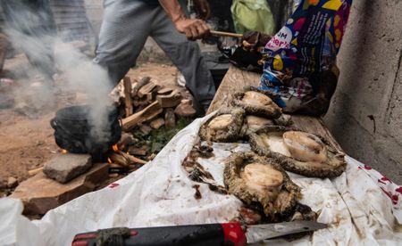 Interlocking Cape crime family networks may be fuelling audacious underworld power struggles